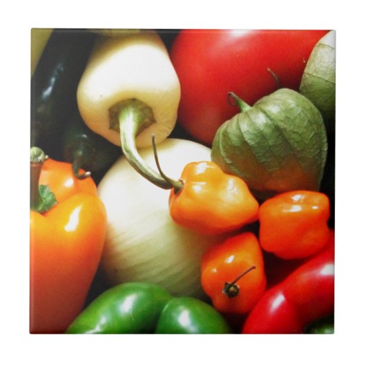 サルサ野菜,トマト,ピーマン,タマネギ タイル (正面)