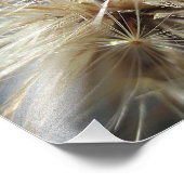 サルシフィシードパフ10x8 フォトプリント            (角)