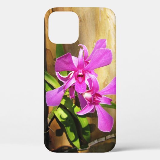 サルスベリの木のラン - iPhone 12ケース Case-Mate iPhoneケース (裏面)