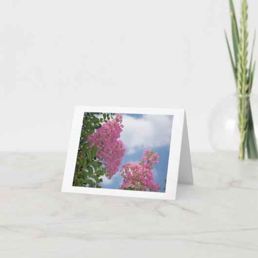 サルスベリ、ヒャクジツコウのメッセージカード カード (正面)