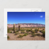 サルタアルゼンチンサボテンの植物と不毛の丘 ポストカード (正面/裏面)