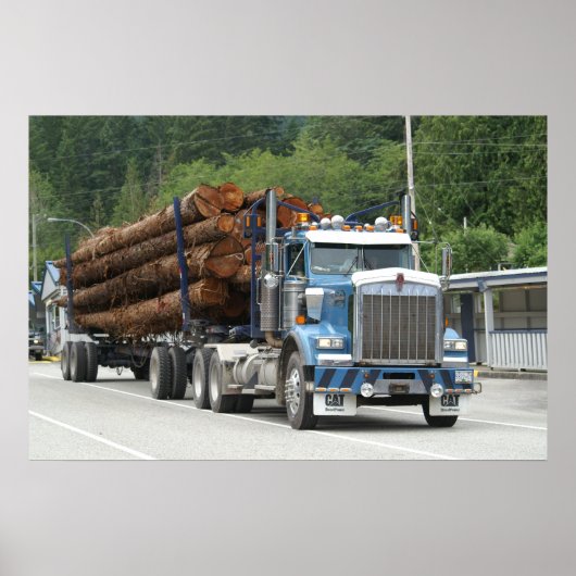 サルタリー湾 ポスター (正面)