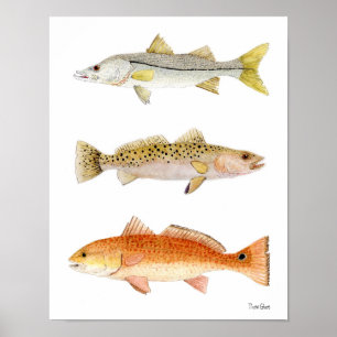 サルタータゲームフィッシュ – Snook, Seatrout & Redfish ポスター