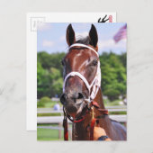 サルダ、2歳の親孝行コンガリー ポストカード (正面/裏面)