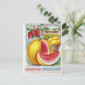 サルツァースイカ ポストカード (スタンド正面)