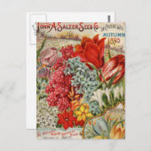 サルツァーフラワーシード ポストカード (正面/裏面)