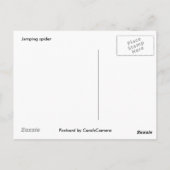 サルティシドブラック&ホワイトジャンピングスパイダーハガキ ポストカード (裏面)