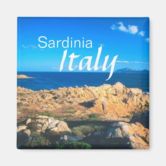 サルディニアイタリア旅行記念冷蔵庫用マグネット マグネット (正面)