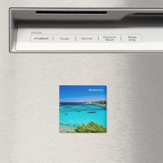 サルデーニャ マグネット (インサイチュ (食洗機))