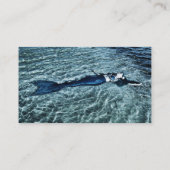 サルトウォーターマーメイド エンクロージャーカード (裏面)