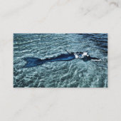 サルトウォーターマーメイド エンクロージャーカード (正面)