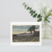 サルトンシー近くに広がる日の眺め ポストカード (スタンド正面)