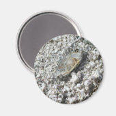 サルトン海 マグネット (正面/裏面)