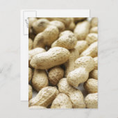 サルナッツ ポストカード (正面/裏面)