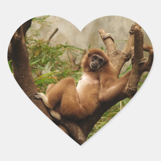 サルハートシール ハートシール (正面)