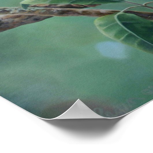 「サルバー」 ポスター (角)