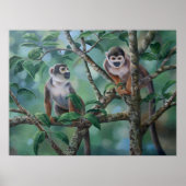 「サルバー」 ポスター (正面)