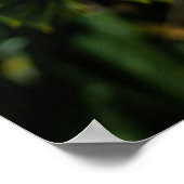 サルパズルツリー – ツリー写真 ポスター (角)