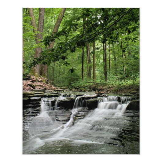 サルファクリークウォーターフォール フォトプリント            (正面)