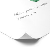 サルフレア ポスター (角)