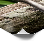 サルベビーの自然 ポスター (コーナー)