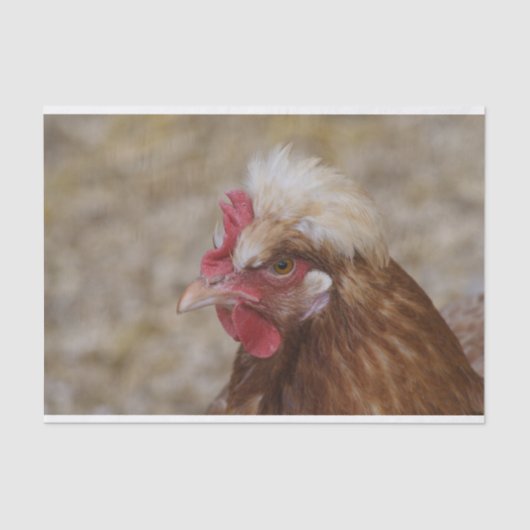 サルムタラー・ヘン 薄葉紙 (正面)