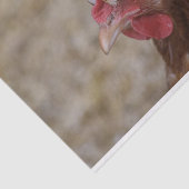 サルムタラー・ヘン 薄葉紙 (詳細)