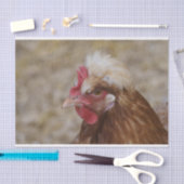 サルムタラー・ヘン 薄葉紙 (クラフト)