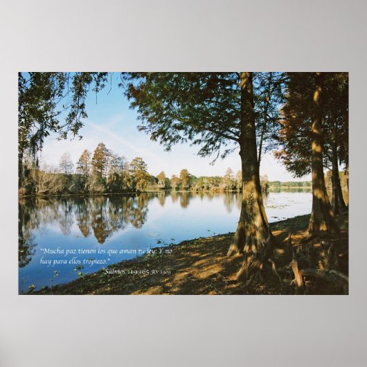 サルモス119:165 ポスター (正面)