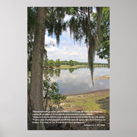 サルモス1:1-3 （カルテルコンリオyアルボル） ポスター (正面)