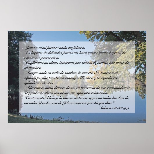 サルモス23 （カルテル） ポスター (正面)