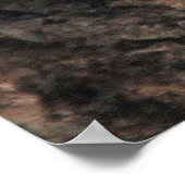 サルモス27-5コンアルジラ ポスター (角)