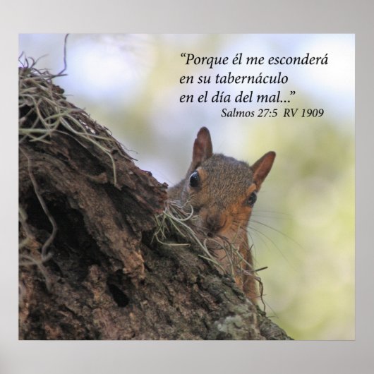 サルモス27-5コンアルジラ ポスター (正面)