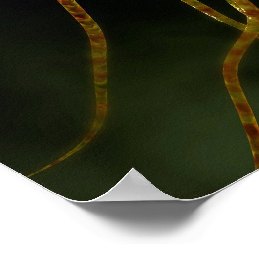 サルモネラTyphiの概念図1 ポスター (角)