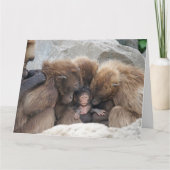 サル家族カード カード (正面)