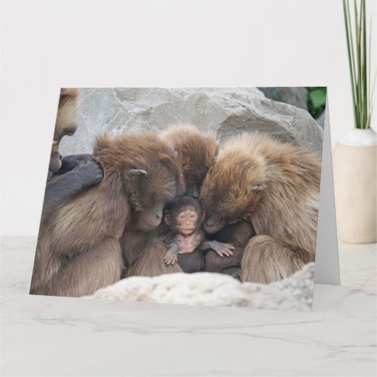 サル家族カード カード (正面)