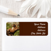 サル差出人住所シール ラベル (インサイチュ)