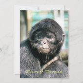 サル招待状 (正面)