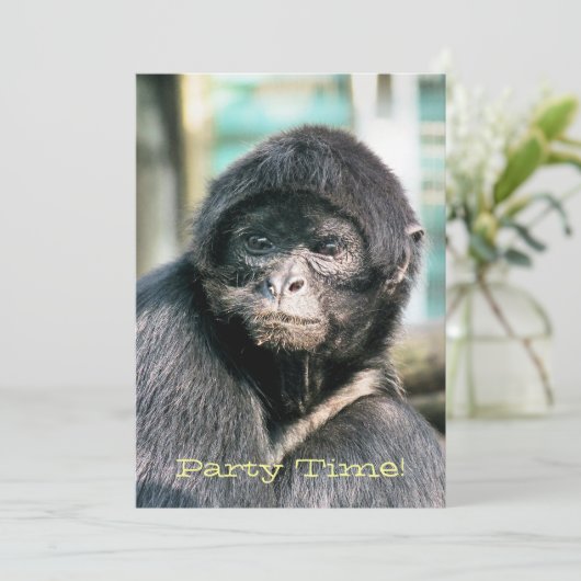 サル招待状 (スタンド正面)