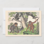 サル男女兼用ジャングル赤ちゃんシャワーbyメール 招待状 (裏面)