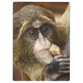 サル登山ツリー写真 クリップボード (裏面)