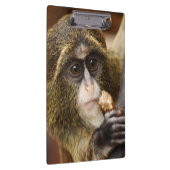 サル登山ツリー写真 クリップボード (右)