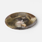 サル登山ツリー写真 ペーパープレート (アングル)