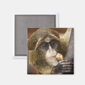 サル登山ツリー写真 マグネット (正面/裏面)