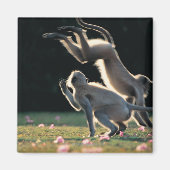 サル遊ズ マグネット (正面)