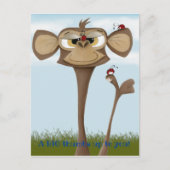 サル間抜けとテンジウムシ ポストカード (正面)