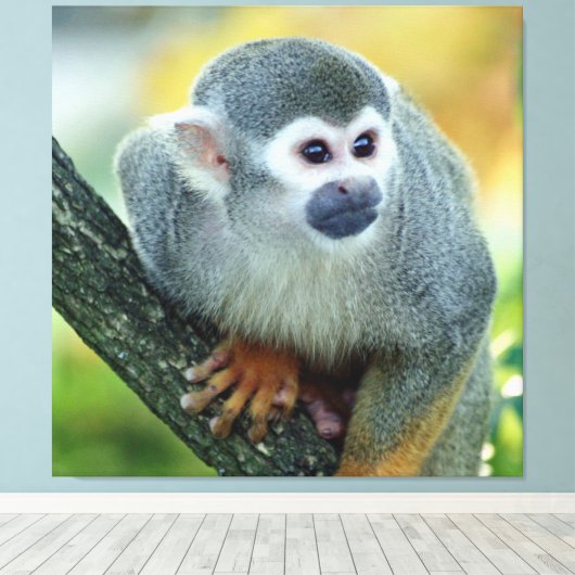 サル004 キャンバスプリント (インサイチュ (ウッドフロア))