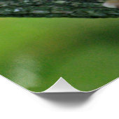 サル004 ポスター (コーナー)