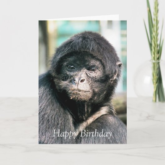 サル カード (正面)