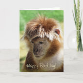 サル カード (正面)